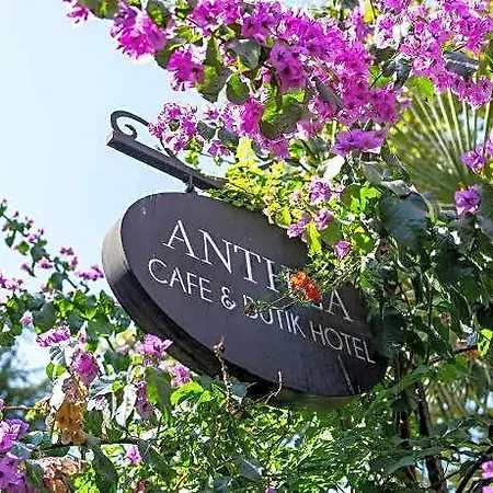 호텔 Anthea 5*